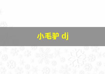 小毛驴 dj